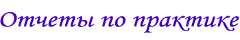 Подготовка отчета по практике